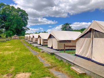 Safari tents