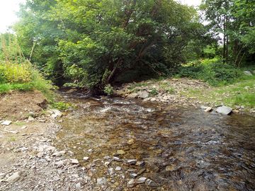 The stream