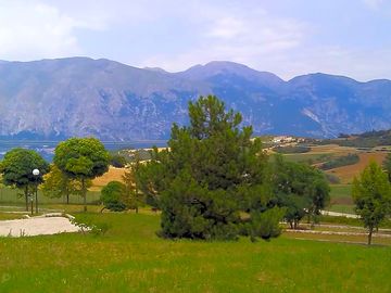 View of the site