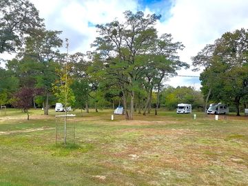 Grass pitches