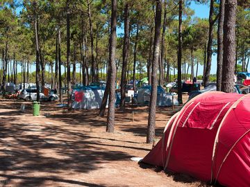 Camping area
