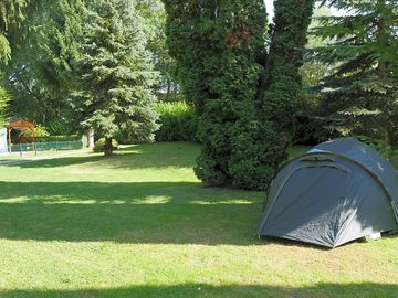 Pitch in the shade