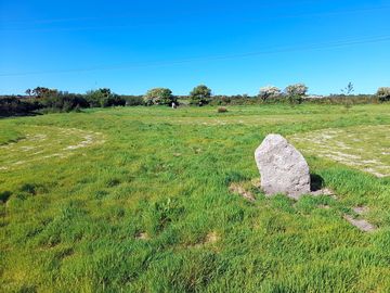 Around the site