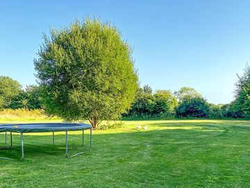 Trampoline for the kids