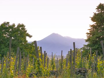 Etna view