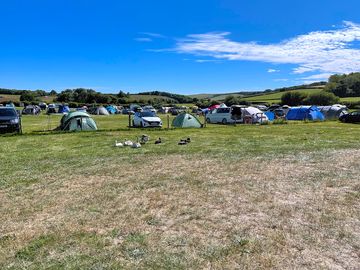 Lovely campsite