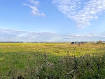 Views over the site