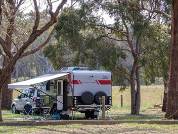 Pitches among the trees