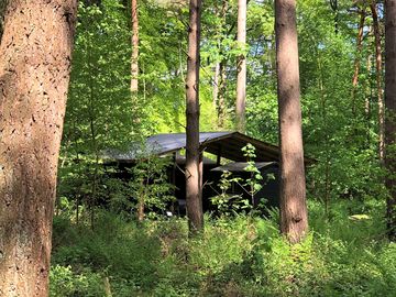 Woodcutter hut