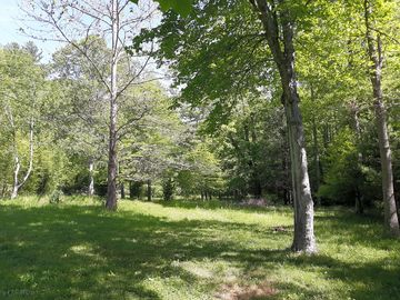 Grassy field for group camping