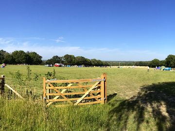 Sunny day at the site