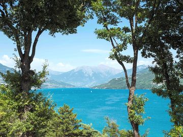 Lake view