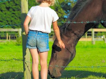 Sometimes there are ponies on site