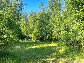 Tree-shaded pitches