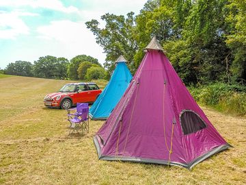 Grass pitches