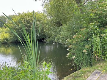 Willow lake