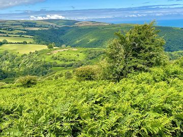 Local walking - views of horner woods and river valley from dunkery