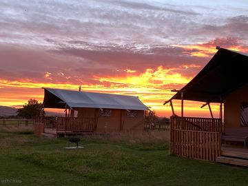 Safari tents sunset.