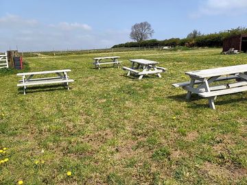 Picnic area on the site