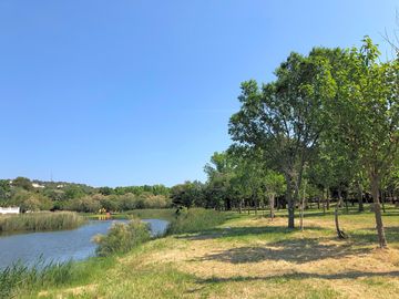 Pitches right next to the lake's edge