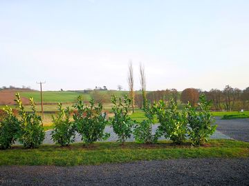 Hardstanding pitch