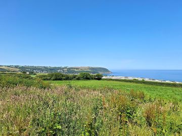 Field and views