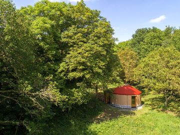 Yurt surrounded by trees