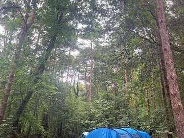 Designated camping pitch