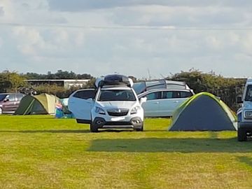 Flat, spacious pitches
