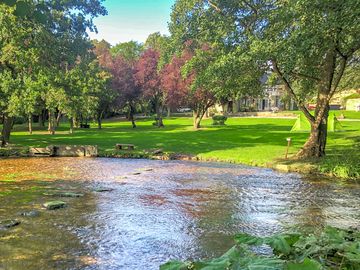 Visitor image of the stream and site grounds