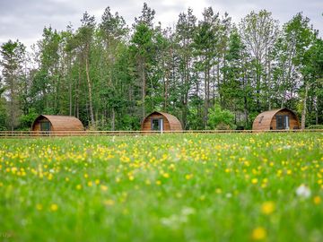 View of the cabins