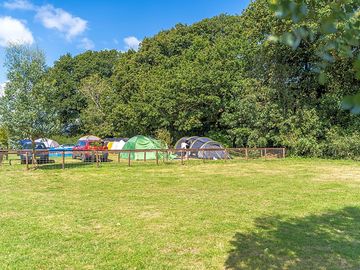 Pitches sheltered by trees