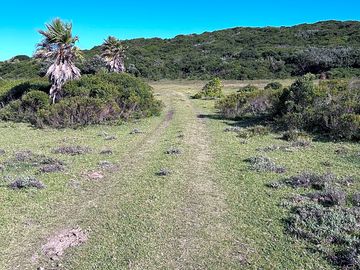 Driveway to the campsite