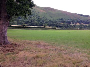 The pitching field