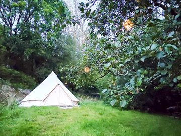 Unwind in your bell tent surrounded by greenery