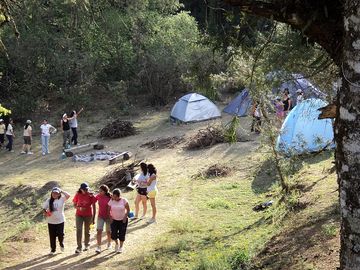 Campers