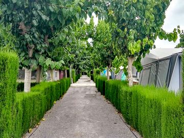 Path through the site
