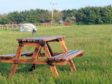 Standard tent, low season