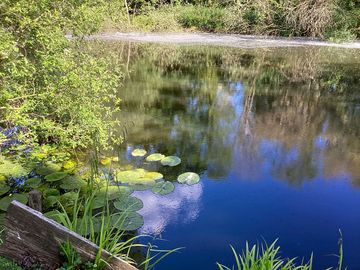 The fishing lake