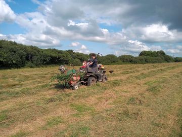 Clearing the field
