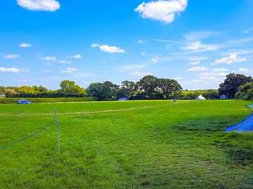 Main pitching field, with hedgerow and oak trees around the edge