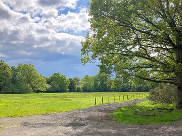 Gravel roads and paths around the site