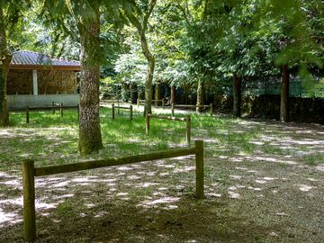 Tent pitches