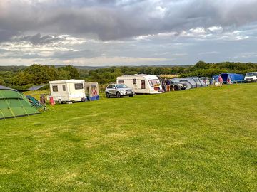 Grass pitches with electric hook-ups