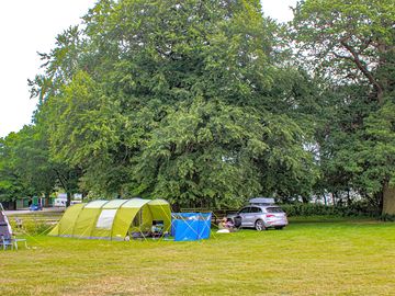 Dog friendly electric grass pitch