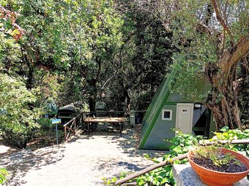 Outdoor space at the cabin