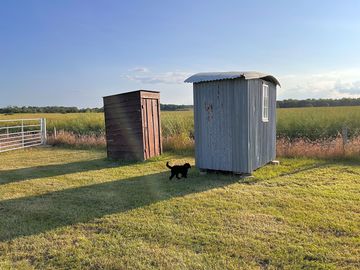 Shower and toilet