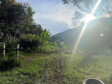 Bosque de conservación 5 minutos de la ciudad de oxapampa. último refugio natural en la ciudad.