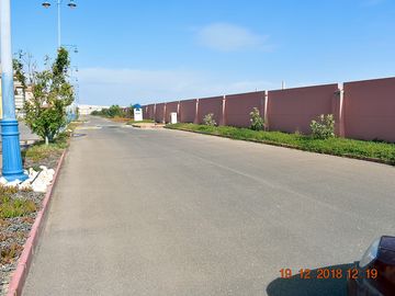 Around the site