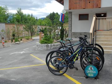 Bike rental